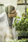 Scientifique examinant des plantes dans une serre de recherche sur la croissance végétale — Photo de stock