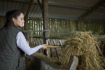 Mujer en granero paleando heno - foto de stock