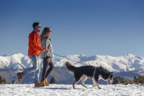 Pareja paseando perro en nieve cubierto paisaje de montaña - foto de stock