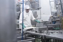 Чоловічий працівник, що працює на заводі з органічного виробництва тофу — стокове фото