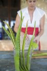 Frau schabt Flüssigkeit aus Aloe-Blatt in Seifenmanufaktur — Stockfoto