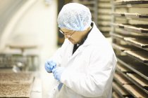 Side view of worker wearing hairnet and latex gloves collecting samples in plastic bag — Stock Photo