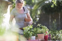 Mujer cuidando plantas en el jardín - foto de stock
