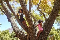 Two young sisters climbing tree — Stock Photo