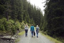 Rückansicht von drei Freundinnen, die auf einem Waldweg gehen — Stockfoto