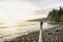 Uomo che guarda fuori dal tronco di legno alla deriva sulla spiaggia nel Parco Provinciale Juan de Fuca, Isola di Vancouver, Columbia Britannica, Canada — Foto stock
