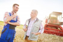 Agricultores en campo de trigo charlando - foto de stock
