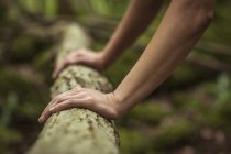Close up of woman exercising in forest — Stock Photo