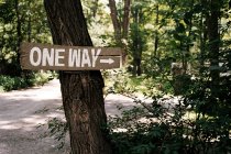 One way sign on tree in campsite, Phoenicia, NY, USA — Stock Photo