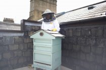 Apicultor con traje de abeja, preparándose para inspeccionar la colmena - foto de stock