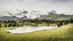 Alp Flix, Lais Blos, Savognin, Graubuenden, Suiza - foto de stock