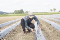 Landwirt installiert Begasungsfolie auf gepflügtem Feld — Stockfoto