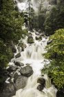 Rocky forest waterfall, Yosemite National Park, California, USA — Stock Photo