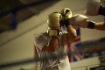 Two boxers sparring in boxing ring — Stock Photo