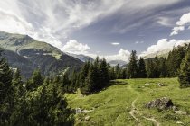 Alp Flix, Savognin, Graubuenden, Switzerland — стокове фото