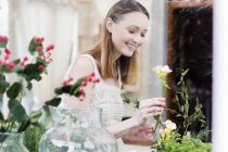 View through glass of  woman arranging flowers looking down smiling — Stock Photo