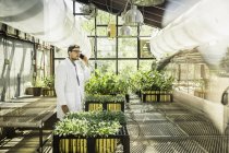 Cientista falando em smartphone em planta crescimento facilidade de pesquisa estufa — Fotografia de Stock