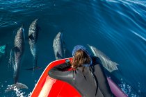 Diver watching pod of Pantropical Dolphins breaching for air, Port St. Johns, South Africa — Stock Photo