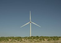 Вітрова турбіна на вершині дюн з блакитним небом — стокове фото