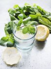 Склянка з водою, м'ятою та лимонним шматочком — стокове фото
