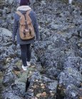 Mujer joven caminando sobre el paisaje rocoso, vista trasera - foto de stock