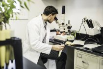 Cientista que olha através do microscópio no laboratório do centro de pesquisa do crescimento da planta — Fotografia de Stock