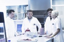 Cientistas discutindo em laboratório — Fotografia de Stock