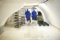 Visão traseira dos trabalhadores no berçário subterrâneo da bandeja de sementes do túnel, Londres, Reino Unido — Fotografia de Stock