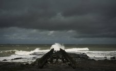 Dunkle dramatische Himmel und hölzerne Wellenbrecher, Domburg, Zeeland, Niederlande — Stockfoto