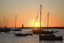 Anchored yachts in port at sunset, Andratx, Majorca, Spain — Stock Photo