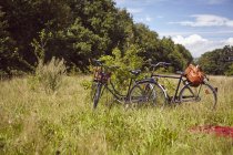Dos bicicletas aparcadas junto al arbusto en el campo rural - foto de stock