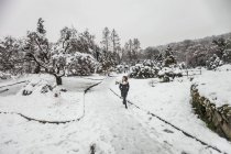 Жінка вигулює на снігу покриті краєвид — стокове фото