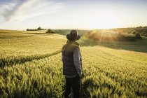 Rear view of mid adult man, standing in field, Neulingen, Germany — Stock Photo