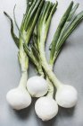 Close up of organic onion bulbs on gray background — Stock Photo