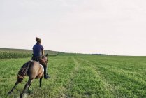 Rückansicht einer Frau, die auf einem braunen Pferd in einem Feld galoppiert — Stockfoto