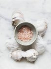 Tigela de sal rosa do Himalaia com alho — Fotografia de Stock