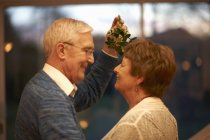 Romantic senior couple holding mistletoe — Stock Photo