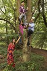 Portrait of family in forest, father and two children climbing tree — Stock Photo