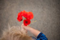 Overhead view of Boy holding poppies — Stock Photo