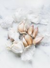 Raw garlic cloves on marble background — Stock Photo