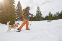 Homme adulte raquettes à neige à travers paysage enneigé, chien à côté de lui, Elmau, Bavière, Allemagne — Photo de stock