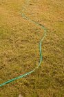 Vue grand angle de tuyau d'arrosage vert sur pelouse herbeuse — Photo de stock