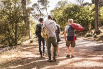 Vista traseira de quatro homens caminhando na floresta, Deer Park, Cape Town, África do Sul — Fotografia de Stock