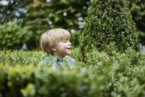 Мальчик в окружении листвы смотрит в сторону — стоковое фото