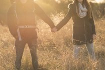 Молода пара йде полем, тримаючись за руки, посередині — стокове фото