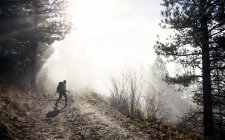 Giovane donna trekking lungo il sentiero, Missoula, Montana, USA — Foto stock