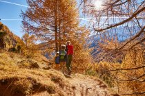 Excursionismo familiar, Vista trasera, Schnalstal, Tirol del Sur, Italia - foto de stock