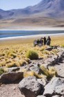Visão turva sobre os turistas Pessoas que visitam lago miscanti, San Pedro de Atacama, Chile — Fotografia de Stock