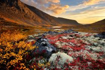 Valle de color otoñal y río Malaya Belaya, montañas Khibiny, península de Kola, Rusia - foto de stock