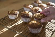 Hand picking up gluten free muffins from cooling tray — Stock Photo